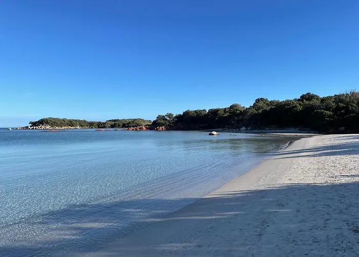 La Sylody Restaurant, 3 Piscines Et Location De Velo Sur Place Villa Lecci